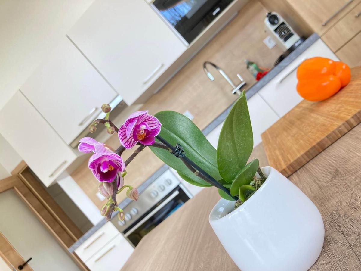 Appartements Blumenwiese ラムサウ・アム・ダッハシュタイン エクステリア 写真