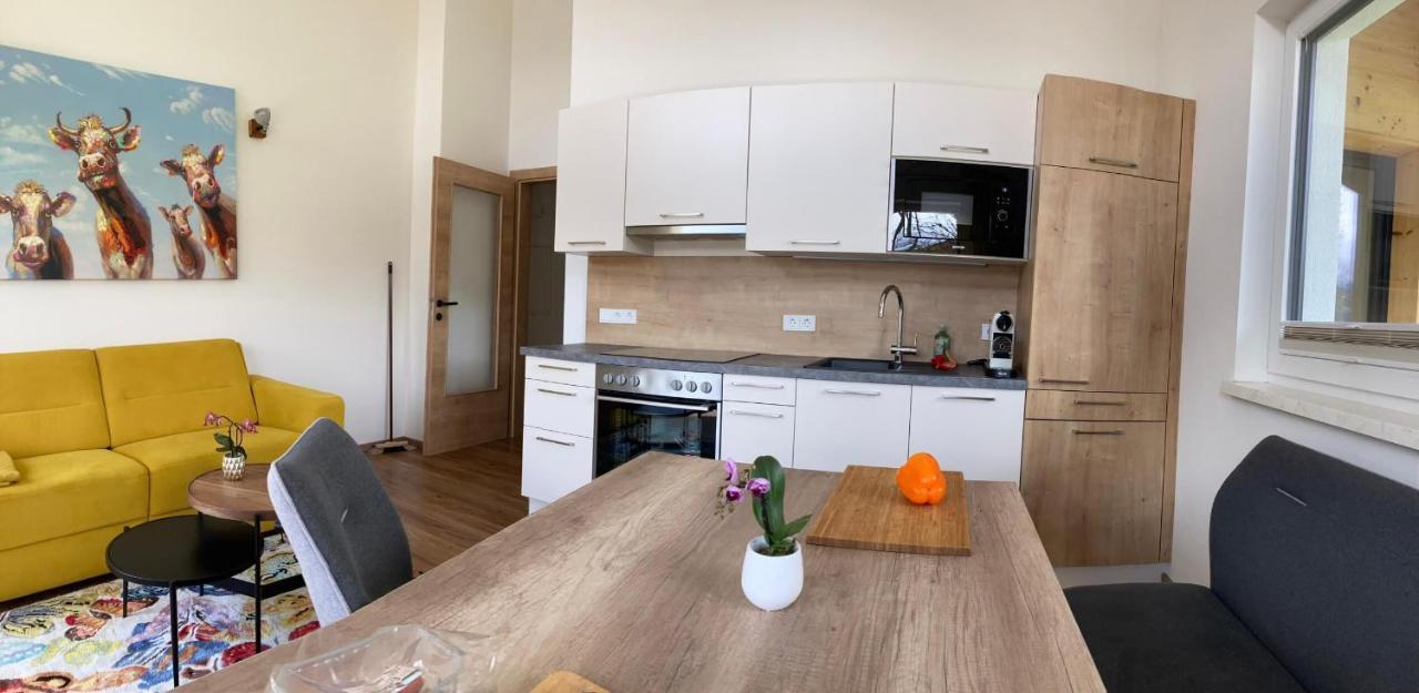 Appartements Blumenwiese ラムサウ・アム・ダッハシュタイン エクステリア 写真