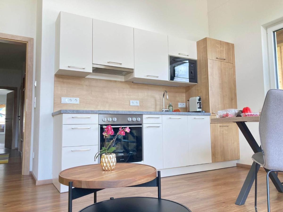 Appartements Blumenwiese ラムサウ・アム・ダッハシュタイン エクステリア 写真