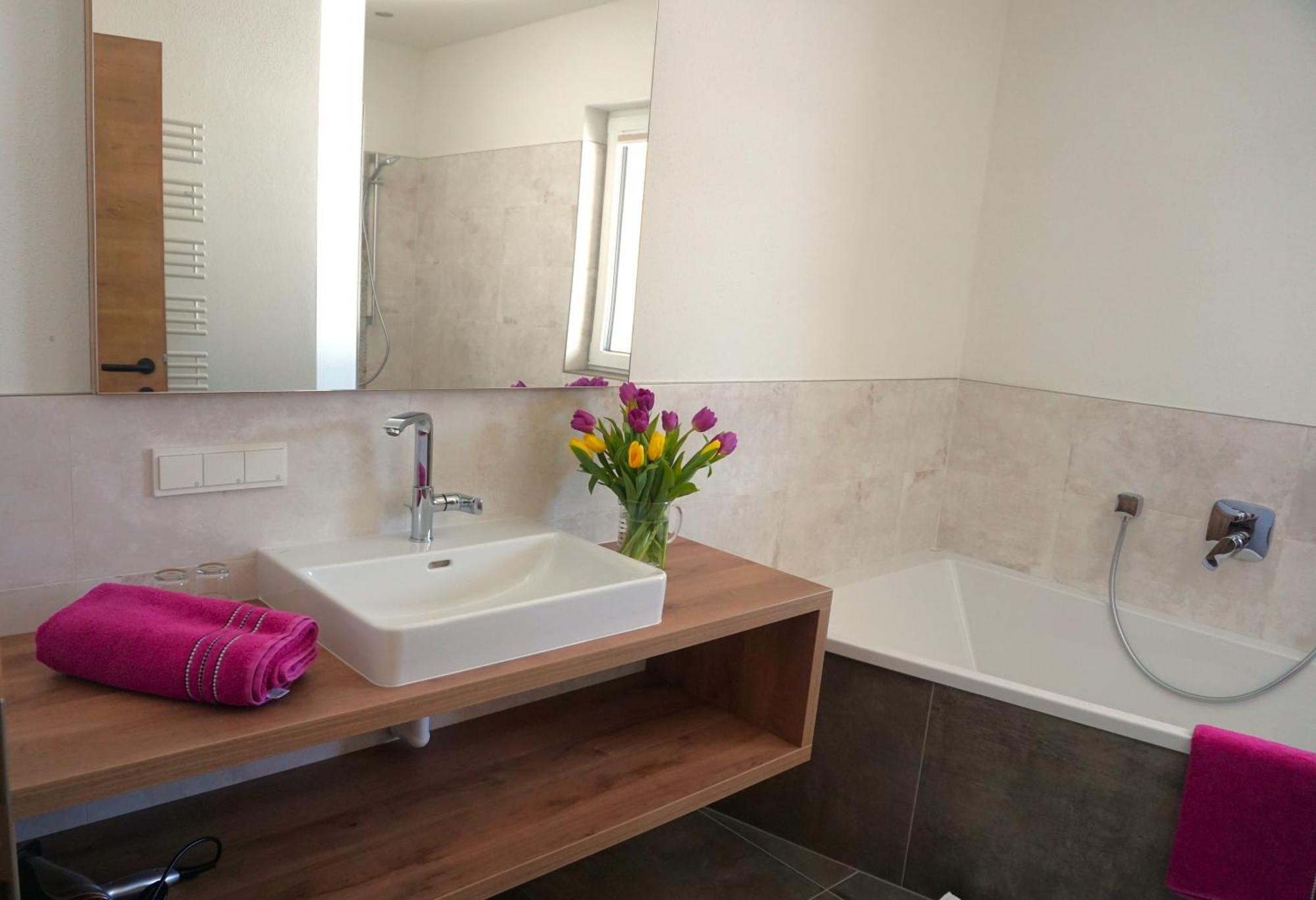 Appartements Blumenwiese ラムサウ・アム・ダッハシュタイン エクステリア 写真