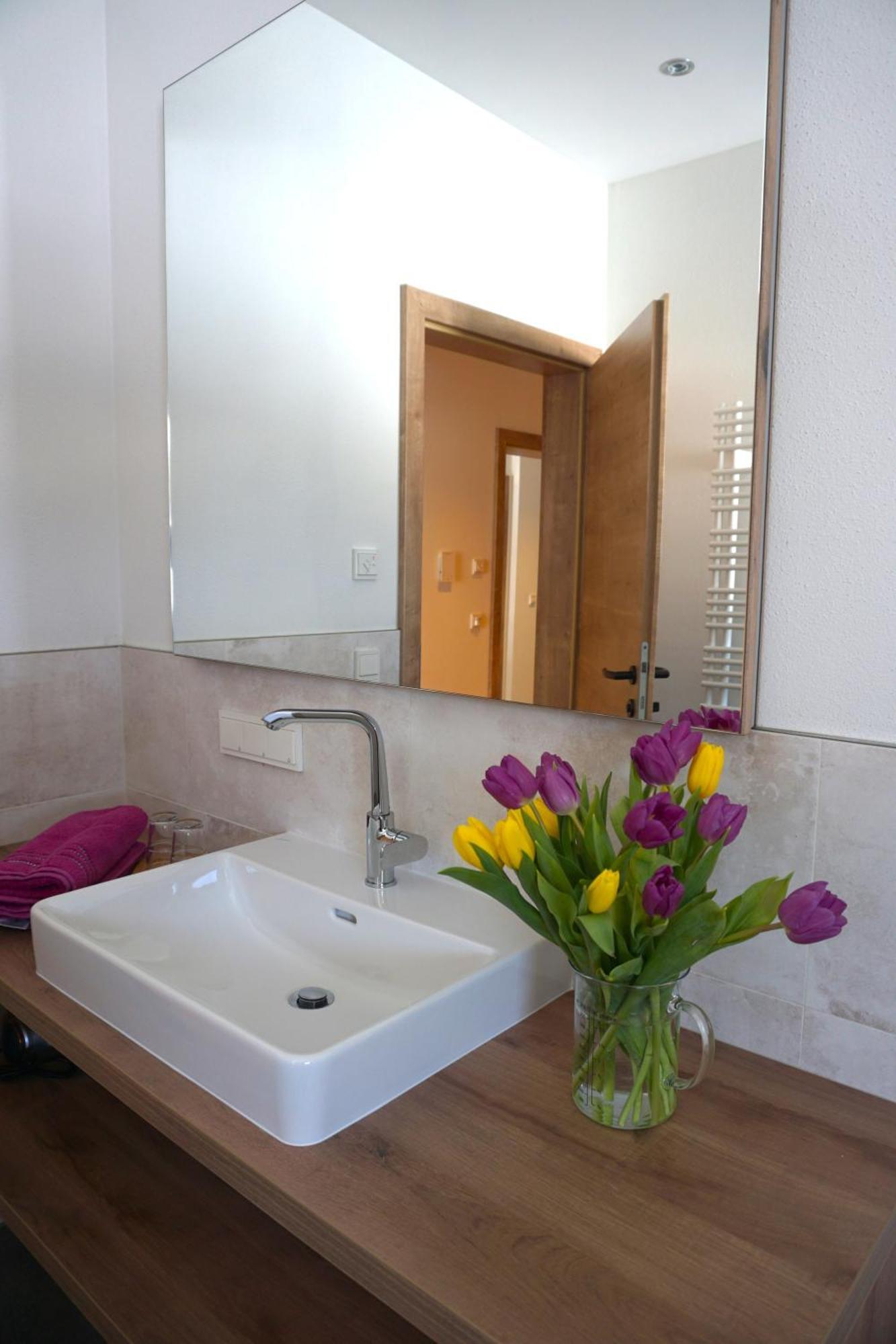 Appartements Blumenwiese ラムサウ・アム・ダッハシュタイン エクステリア 写真