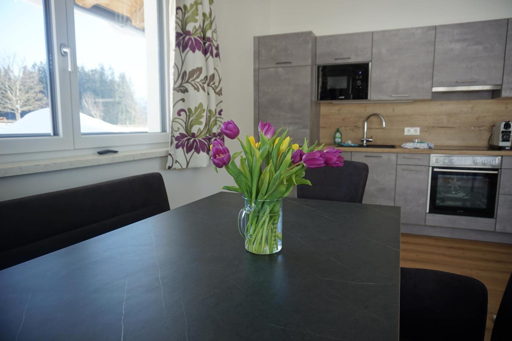 Appartements Blumenwiese ラムサウ・アム・ダッハシュタイン エクステリア 写真